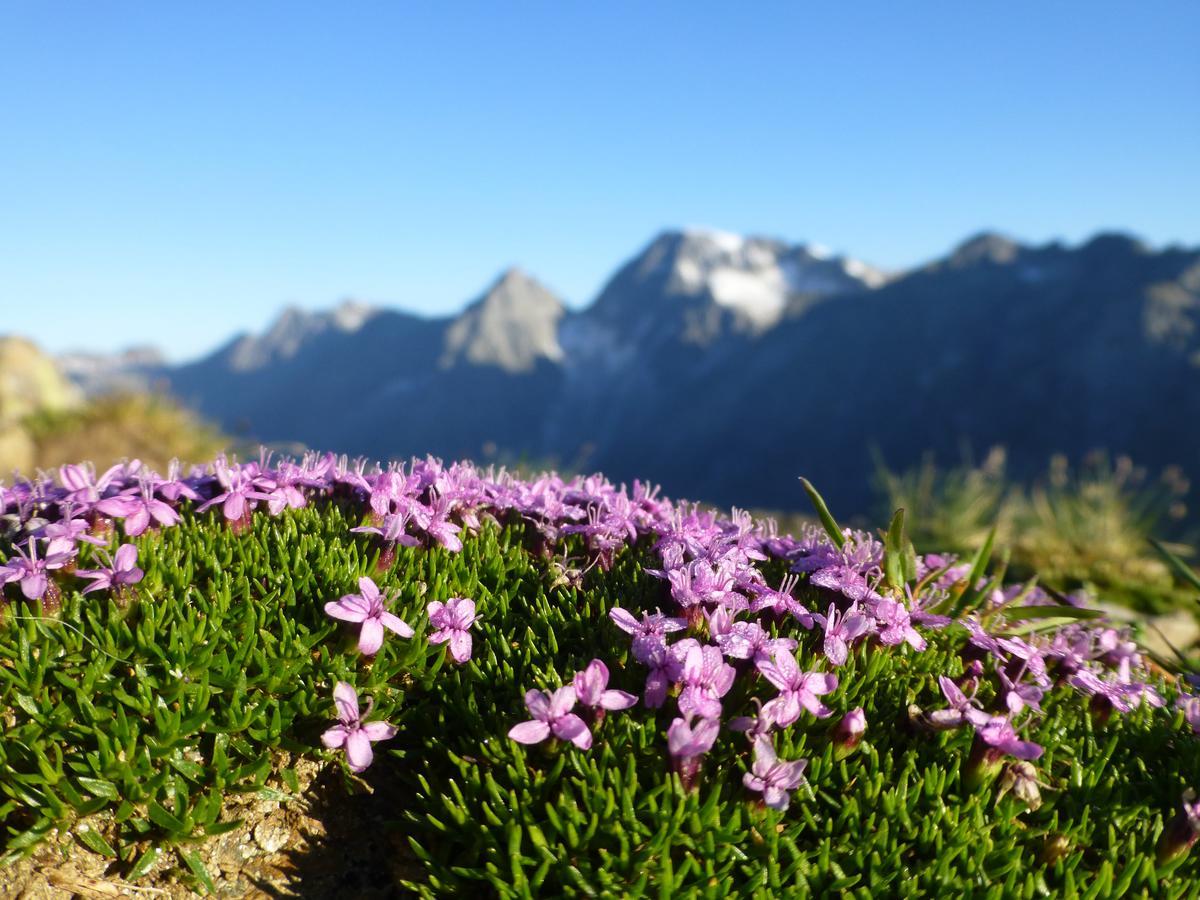 Gasthof Pension Kohlplatzl Hopfgarten in Defereggen Dış mekan fotoğraf